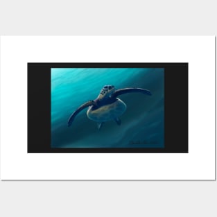 Sea Turtle Posters and Art